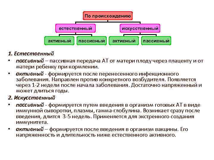 По происхождению естественный активный пассивный искусственный активный пассивный 1. Естественный • пассивный – пассивная