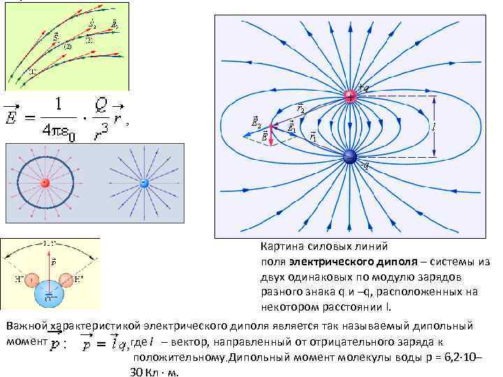 Картина силовых линий поля электрического диполя – системы из двух одинаковых по модулю зарядов