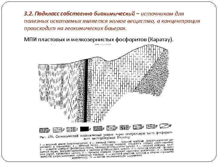 3. 2. Подкласс собственно биохимический – источником для полезных ископаемых является живое вещество, а