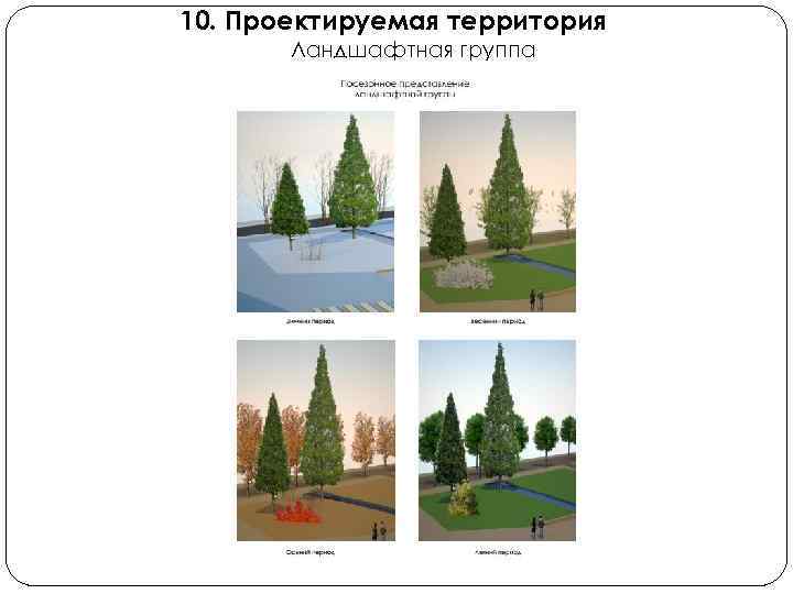 10. Проектируемая территория Ландшафтная группа 