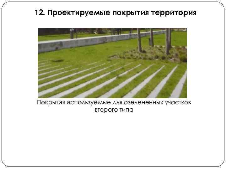 12. Проектируемые покрытия территория 