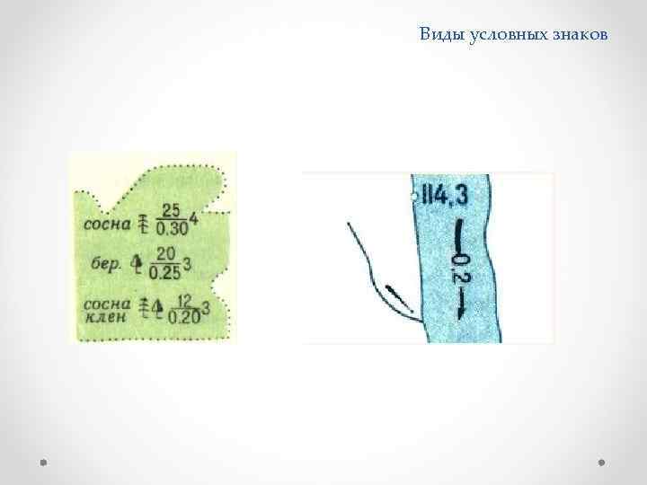Виды условных знаков 