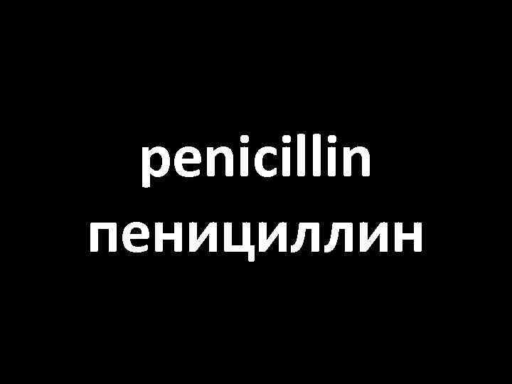 penicillin пенициллин 