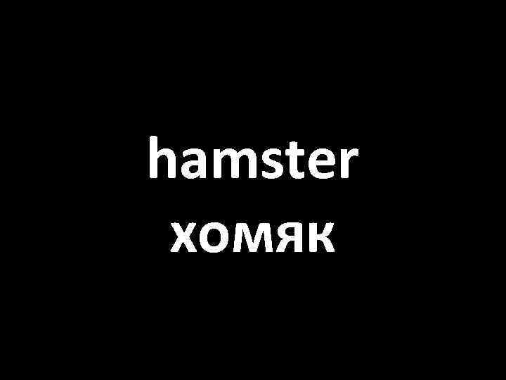 hamster хомяк 