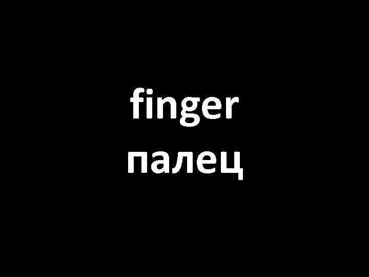 finger палец 