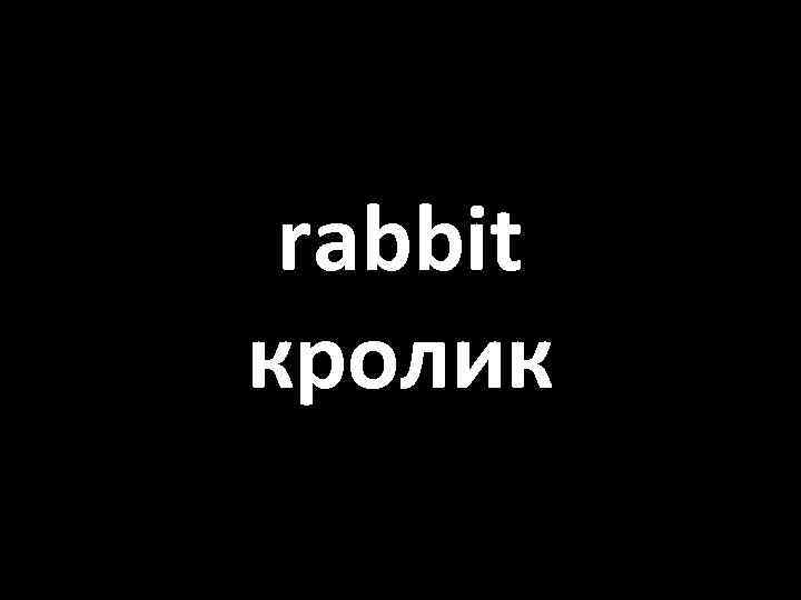 rabbit кролик 