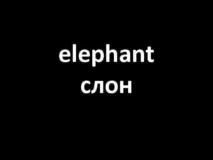 elephant слон 