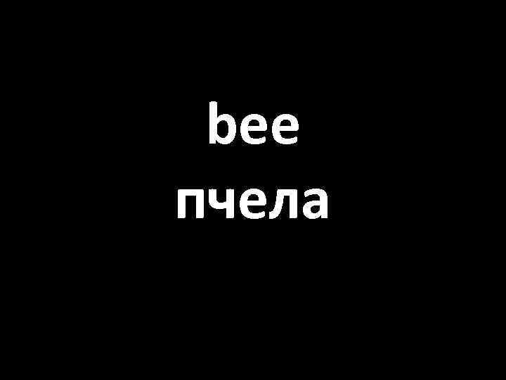 bee пчела 