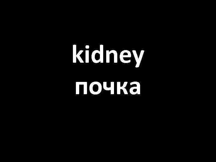 kidney почка 