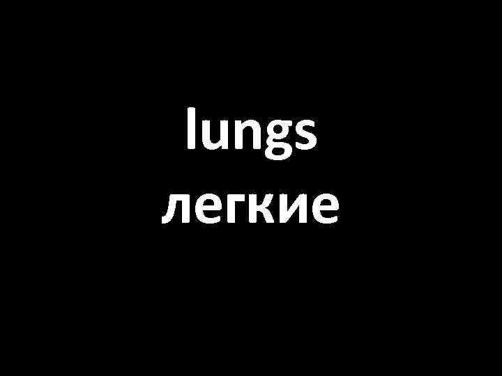 lungs легкие 