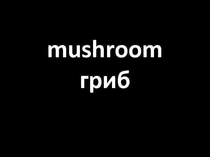 mushroom гриб 