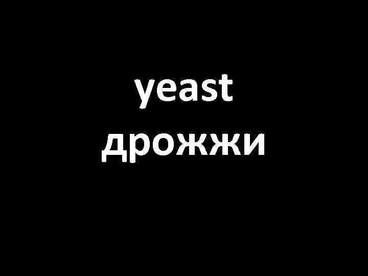 yeast дрожжи 
