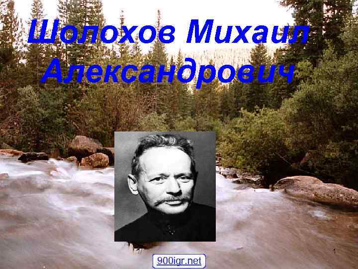 Шолохов Михаил Александрович 1 900 igr. net 