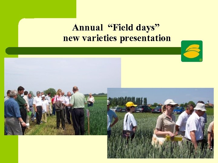 Annual “Field days” new varieties presentation 