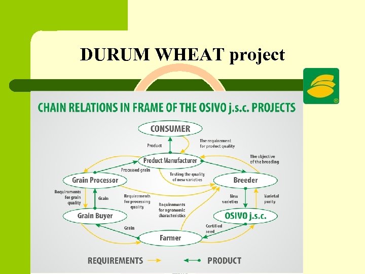 DURUM WHEAT project Breeder of variety OSIVO a. s. Mill, pasta producer Contract. grower