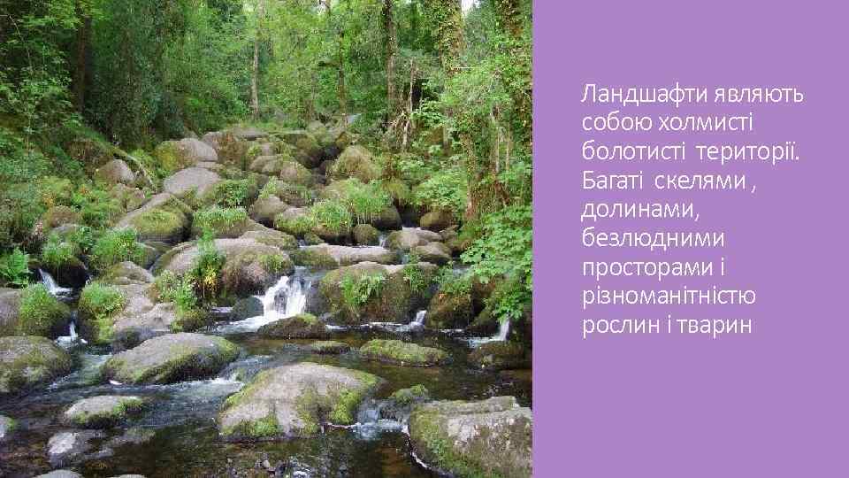 Ландшафти являють собою холмисті болотисті території. Багаті скелями , долинами, безлюдними просторами і різноманітністю