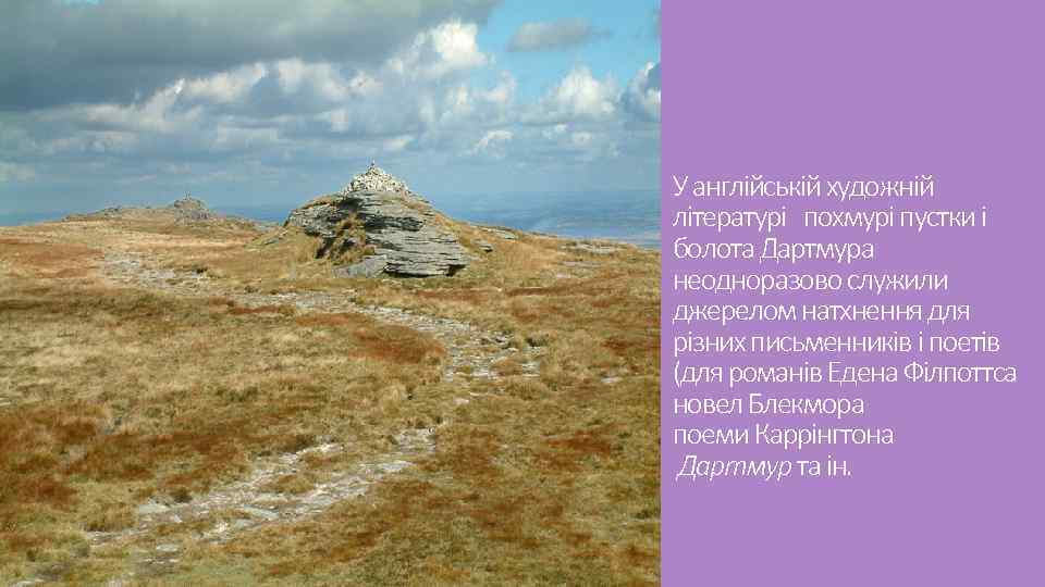 У англійській художній літературі похмурі пустки і болота Дартмура неодноразово служили джерелом натхнення для