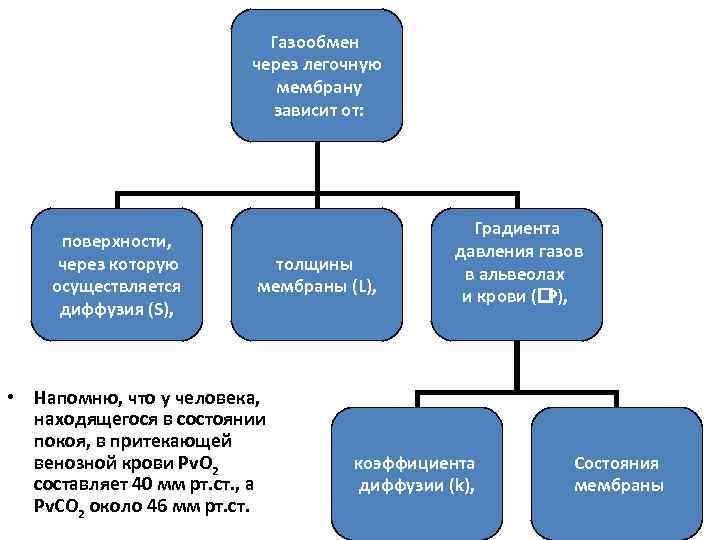 Газообмен через легочную мембрану зависит от: поверхности, через которую осуществляется диффузия (S), толщины мембраны