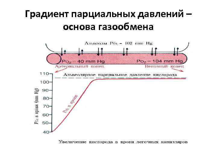 Градиент давления это