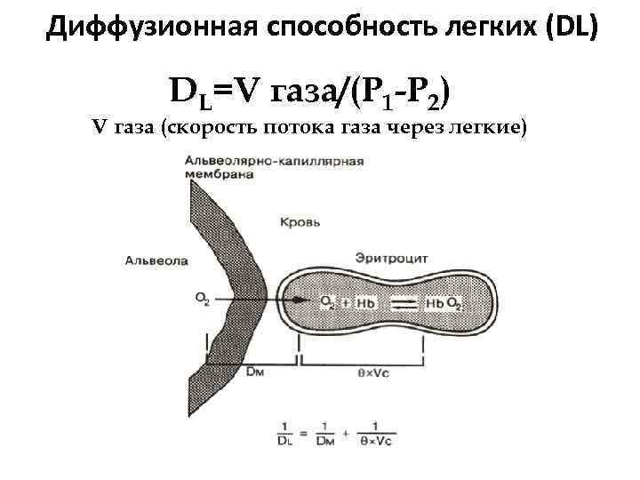 V газы