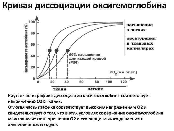 Диссоциация оксигемоглобина