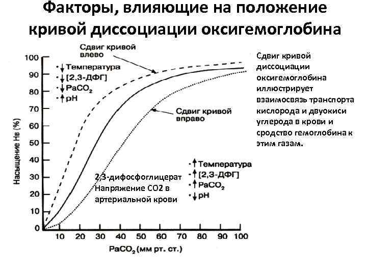 Факторы, влияющие на положение кривой диссоциации оксигемоглобина Сдвиг кривой диссоциации оксигемоглобина иллюстрирует взаимосвязь транспорта