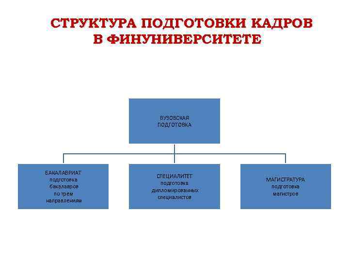 СТРУКТУРА ПОДГОТОВКИ КАДРОВ В ФИНУНИВЕРСИТЕТЕ ВУЗОВСКАЯ ПОДГОТОВКА БАКАЛАВРИАТ подготовка бакалавров по трем направлениям СПЕЦИАЛИТЕТ