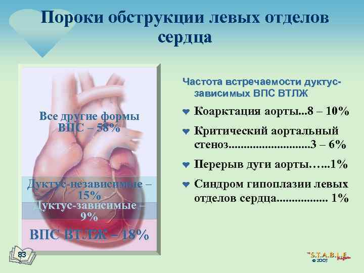 Пороки обструкции левых отделов сердца Частота встречаемости дуктусзависимых ВПС ВТЛЖ Все другие формы ВПС