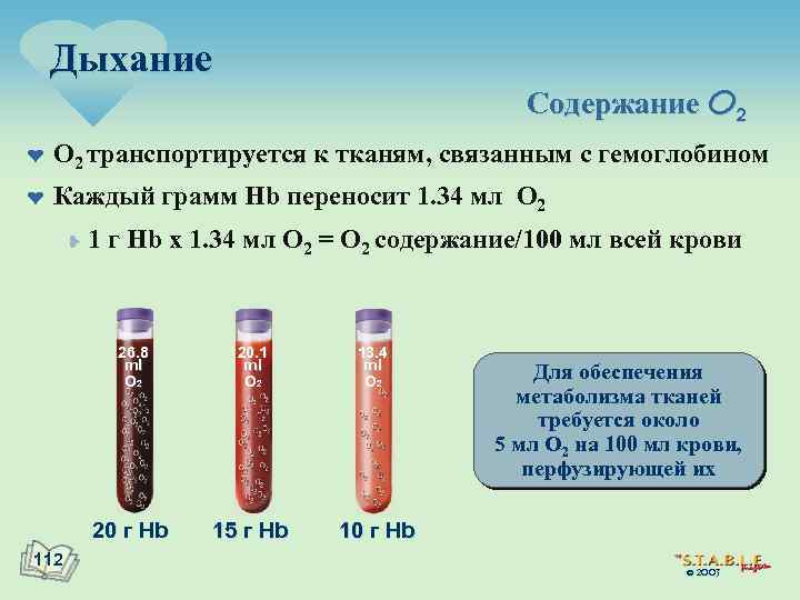 Дыхание Содержание O 2 ¤ O 2 транспортируется к тканям, связанным с гемоглобином ¤