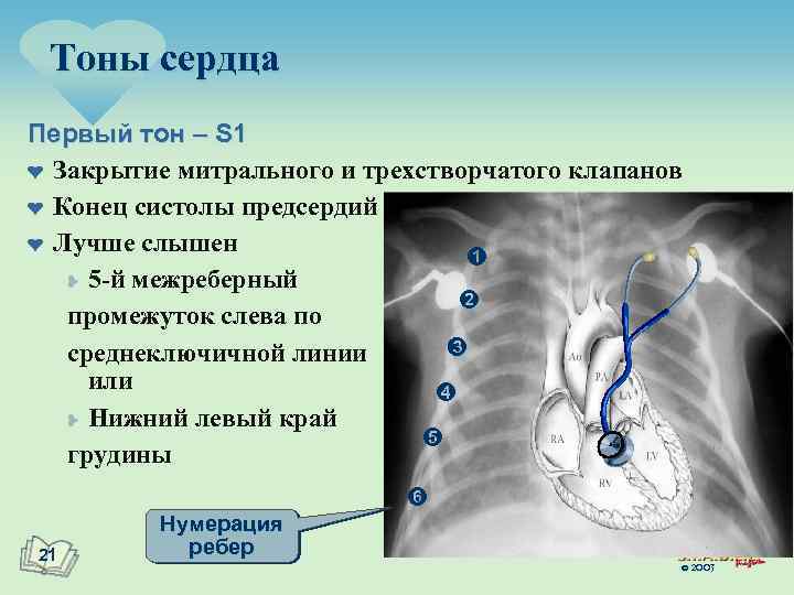 Тоны сердца Первый тон – S 1 ¤ Закрытие митрального и трехстворчатого клапанов ¤