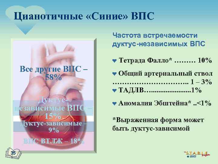 Цианотичные «Синие» ВПС Частота встречаемости дуктус-независимых ВПС ¤ Все другие ВПС – 58% Дуктуснезависимые