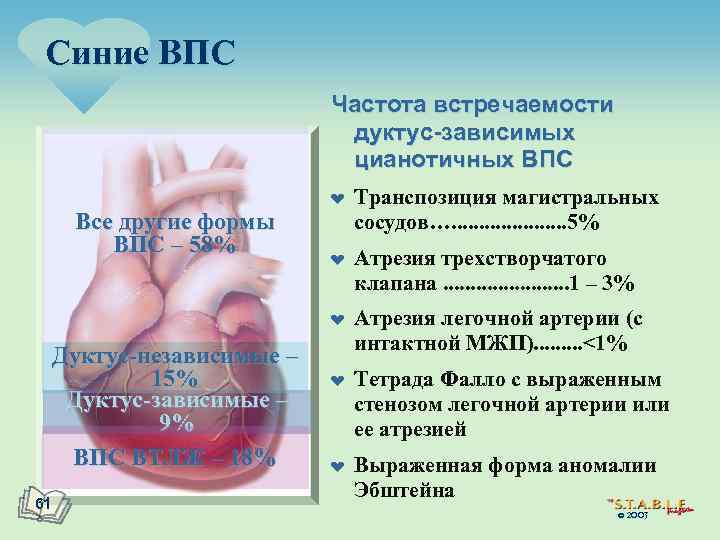 Синие ВПС Частота встречаемости дуктус-зависимых цианотичных ВПС ¤ Все другие формы ВПС – 58%