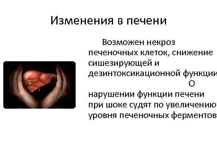 Изменения в печени Возможен некроз печеночных клеток, снижение сишезирующей и дезинтоксикационной функции О нарушении