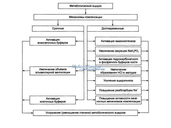 Развитие негазового ацидоза при почечной недостаточности схема