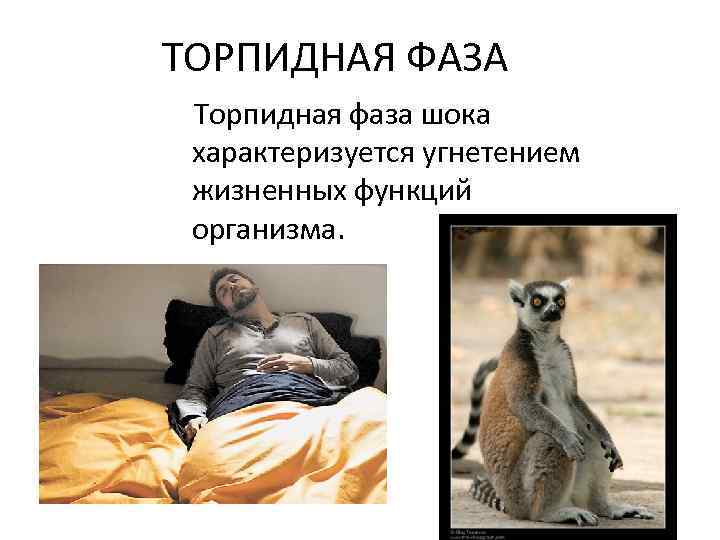 ТОРПИДНАЯ ФАЗА Торпидная фаза шока характеризуется угнетением жизненных функций организма. 