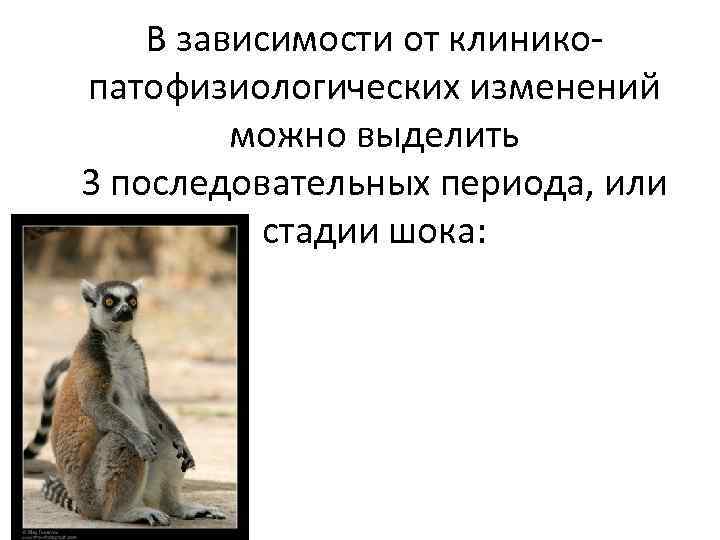 В зависимости от клиникопатофизиологических изменений можно выделить 3 последовательных периода, или стадии шока: 