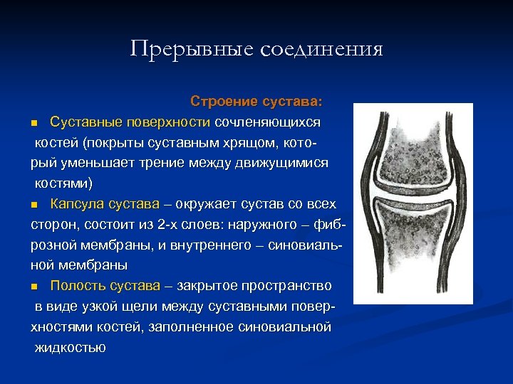 Прерывные соединения