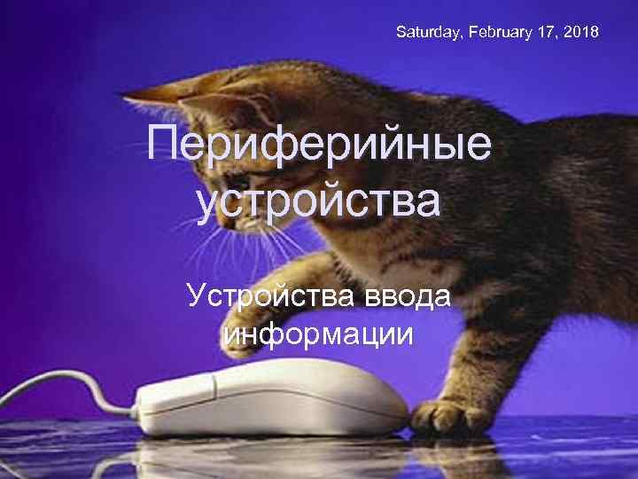 Saturday, February 17, 2018 Периферийные устройства Устройства ввода информации Усольцева Э. М-А. преподаватель информатики