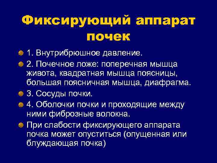 Фиксирующий аппарат почек 1. Внутрибрюшное давление. 2. Почечное ложе: поперечная мышца живота, квадратная мышца