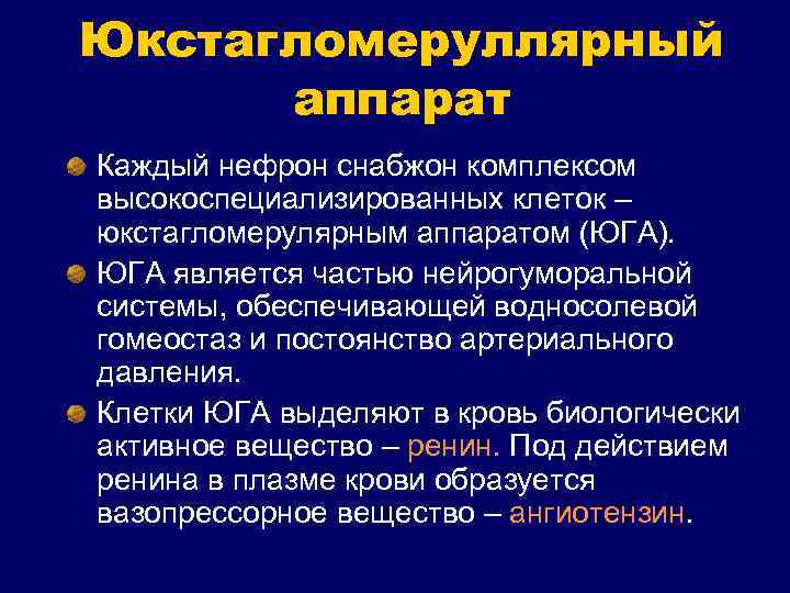 Юкстагломеруллярный аппарат Каждый нефрон снабжон комплексом высокоспециализированных клеток – юкстагломерулярным аппаратом (ЮГА). ЮГА является