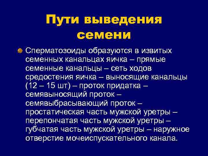 Пути выведения семени Сперматозоиды образуются в извитых семенных канальцах яичка – прямые семенные канальцы