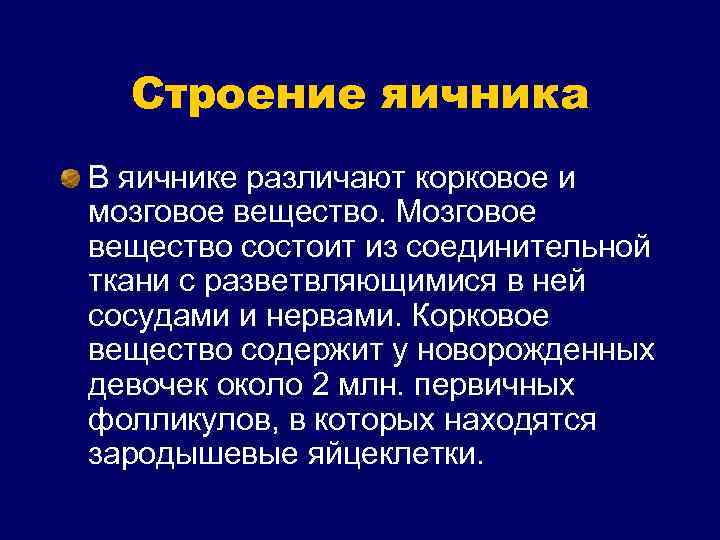 Строение яичника В яичнике различают корковое и мозговое вещество. Мозговое вещество состоит из соединительной