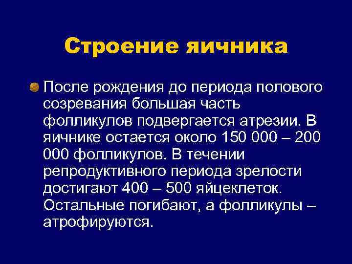 Строение яичника После рождения до периода полового созревания большая часть фолликулов подвергается атрезии. В