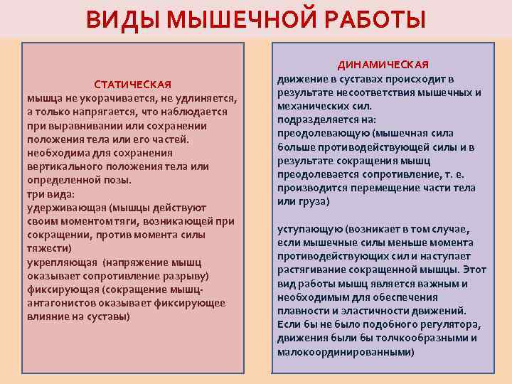 ВИДЫ МЫШЕЧНОЙ РАБОТЫ СТАТИЧЕСКАЯ мышца не укорачивается, не удлиняется, а только напрягается, что наблюдается