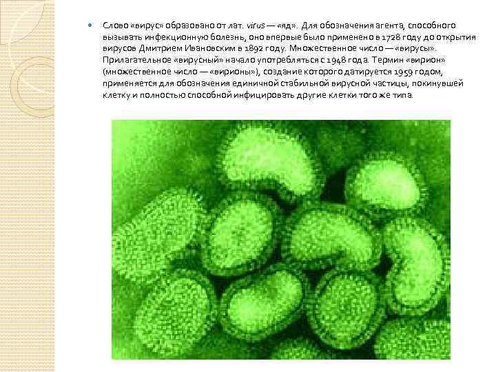  Слово «вирус» образовано от лат. virus — «яд» . Для обозначения агента, способного