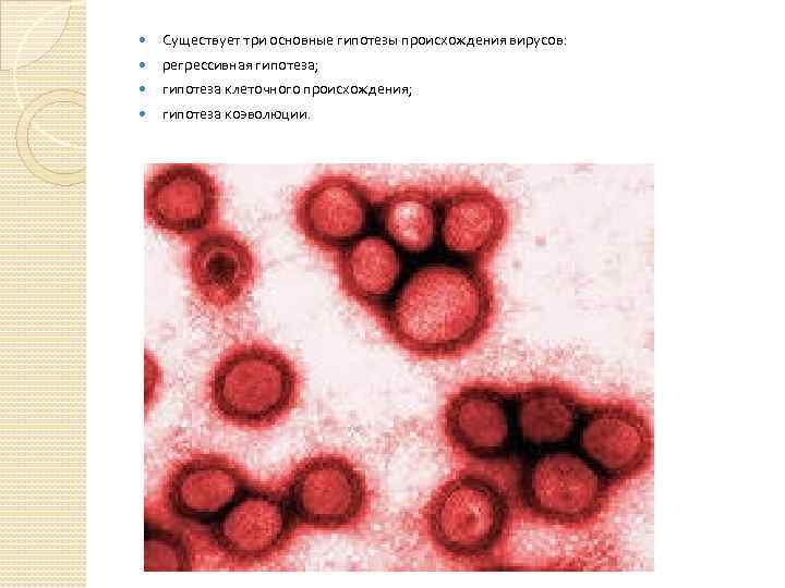  Существует три основные гипотезы происхождения вирусов: регрессивная гипотеза; гипотеза клеточного происхождения; гипотеза коэволюции.