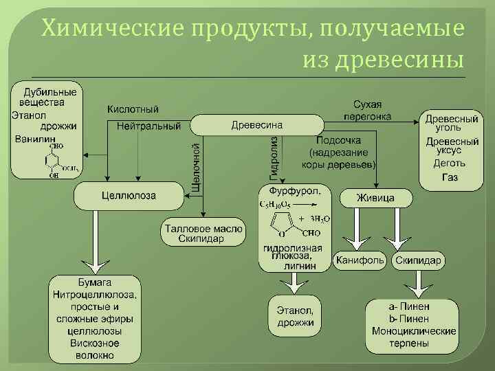 Химические продукты, получаемые из древесины 
