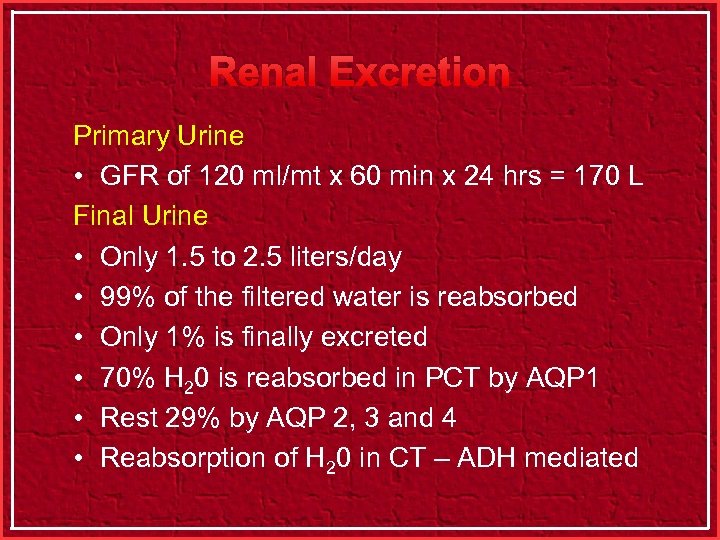 Renal Excretion Primary Urine • GFR of 120 ml/mt x 60 min x 24