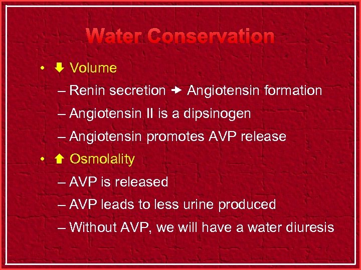 Water Conservation • Volume – Renin secretion Angiotensin formation – Angiotensin II is a