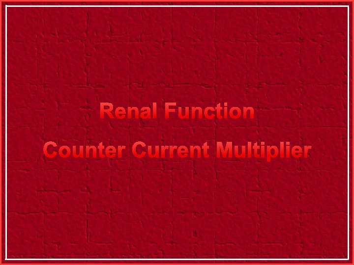 Renal Function Counter Current Multiplier 